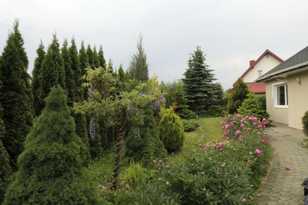 Ogród Villa Peonia