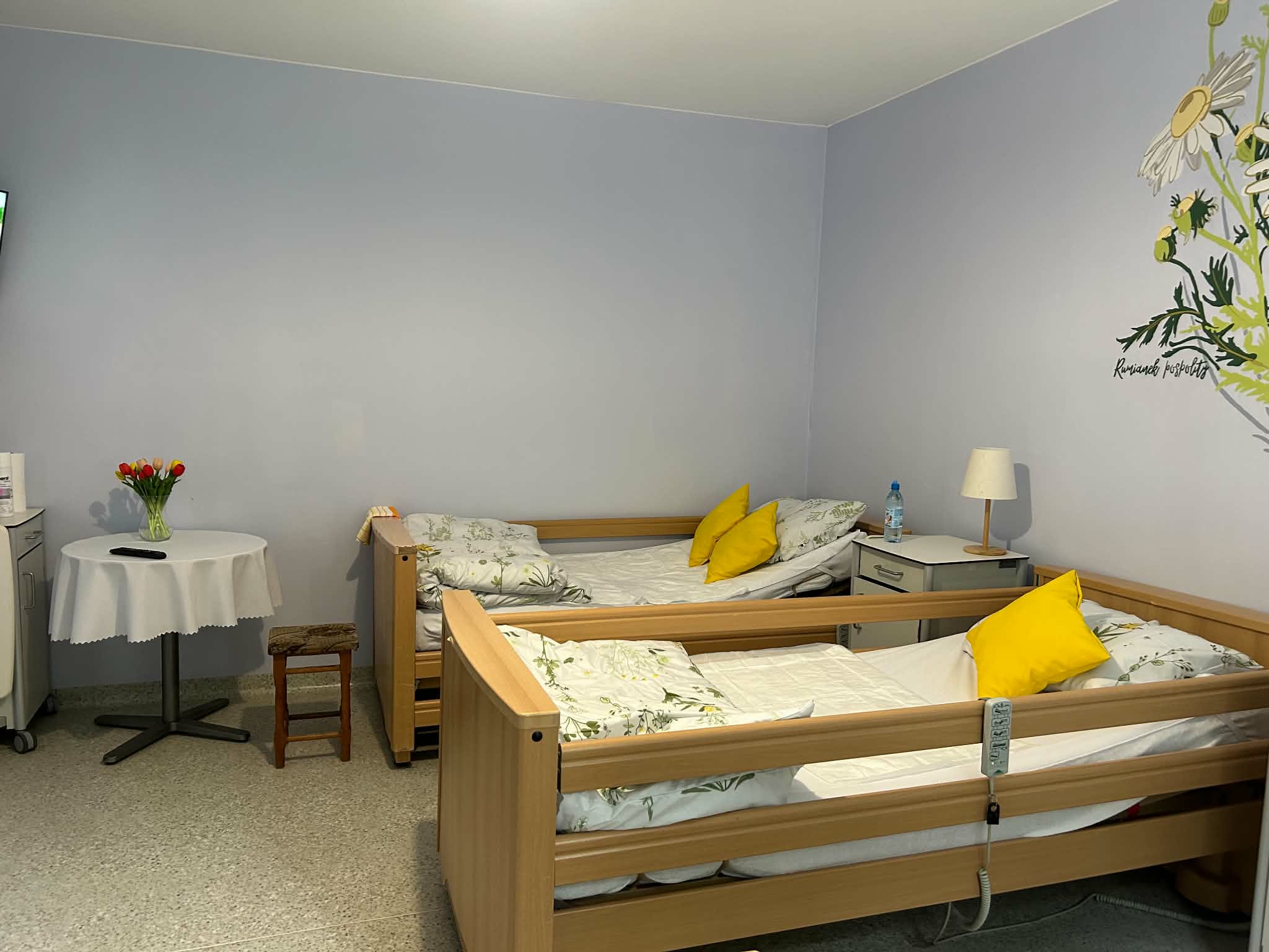 Pokój w domu opieki: dwa łóżka z żółtymi poduszkami, stolik z tulipanami w wazonie i namalowany na ścianie rumianek
